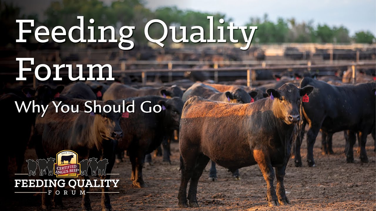 What to Expect at Feeding Quality Forum YouTube