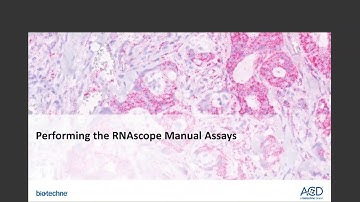 2020Apr28 ACD Webinar-Visualize Gene Expression w/ Morphological & Spatial Resolution using RNAscope