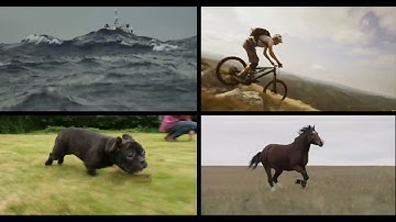 Advancing the state of the art in computer vision with self-supervised Vision Transformers