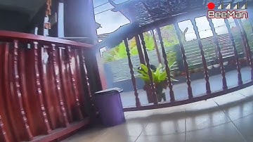 Mobula 7 Sharkbyte Raw DVR