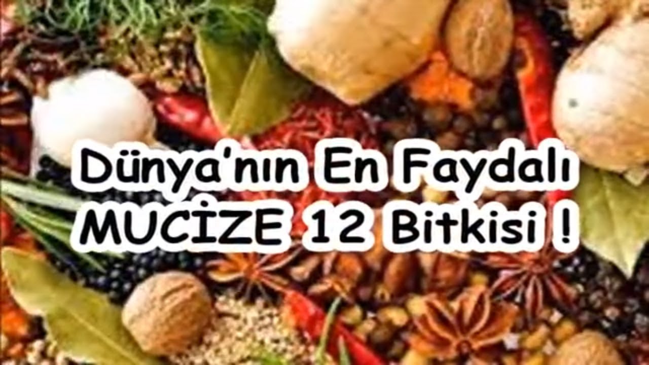 Dünyanın en sağlıklı 12 yiyeceği Dünyanın en sağlıklı 12 yiyeceği