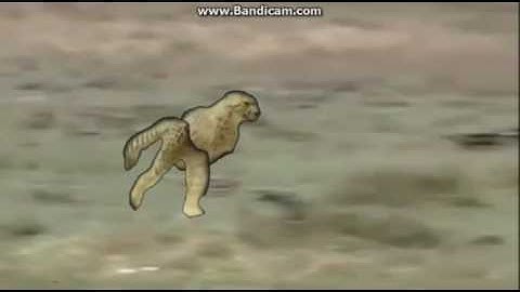 Retarded Running Cheetah.