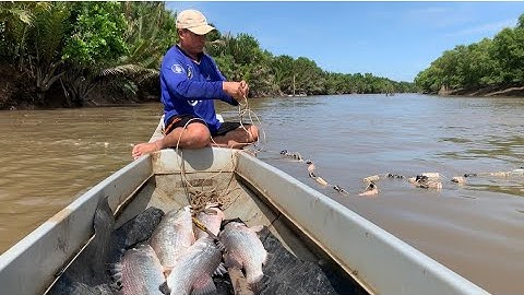 RÊ Lưới Nước Ương Dính Cá Lớn - QHTV.39