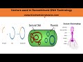 Types of Vectors Used In Recombinant DNA Technology || DNA Vectors || Cloning Vectors