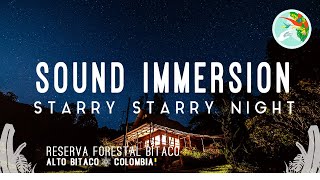 Natural Night Sounds of Origin in Colombian Rainforest | Sleep Aid I  Insomnia relief  I ASMR