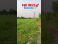 Allah ho Allah ho donu jaha me Malik😍 #pak #islamicgreeting #naat #viral #shorts #ytshorts #ksa #ny