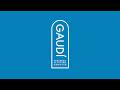 Gaudí: Windows on the Future(ES)