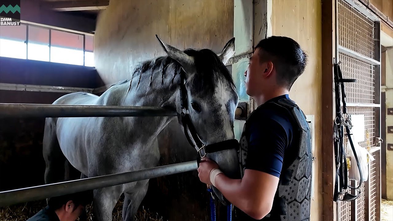 【シェリーシュシュ】デビューまでの道のり