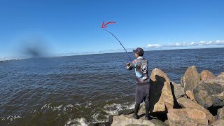 MEU DEUS DO CÉU!!! BATEU QUASE LEVA BRENNO COM VARA E TUDO!!! Rockfishing em Aracaju/SE