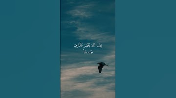 الشيخ مشارى بن راشد العفاسى | سورة الزمر #مشاري_العفاسي #قران_كريم #سورة_الزمر