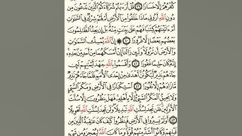 ماهر المعيقلي سورة فاطر مكتوبة صفحة 439 و صفحة 440 خمسها مصحف المدينة المنورة جودة عالية