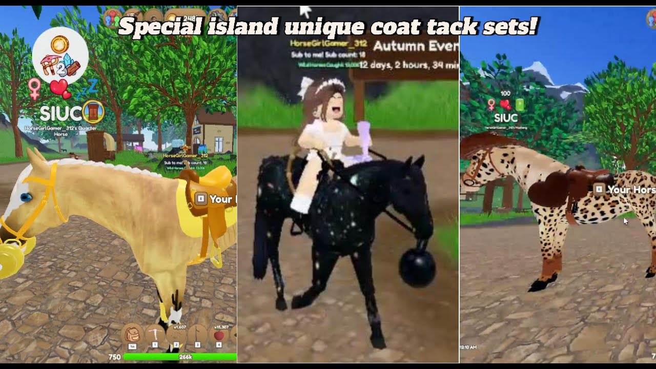 I Made Tack Sets For The New Special Island Unique Coats Wild Horse i-made-tack-sets-for-the-new-special-island-unique-coats-wild-horse