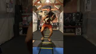 Agility ladder drills, with gym dog. #shorts