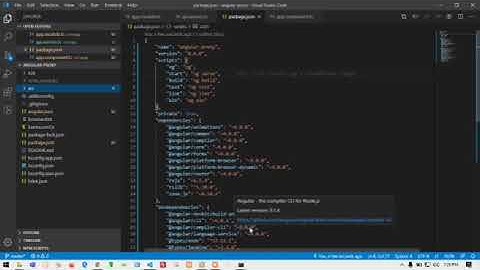 How to use proxy in angular application