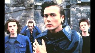 Suede - Follow Up Albums - Dog Man Star