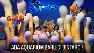 Jalan2 ke Aquarium tapi ikannya masih sedikit  | BXSEA Bexchange Bintaro