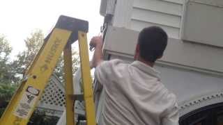 Hal's Squirrel Removal Service
