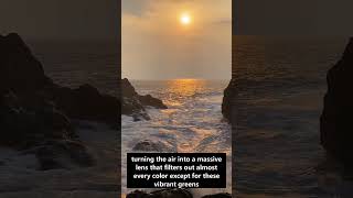 Why does a green flash appear at sunset? #shorts #science #nature