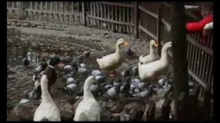 Burak Özışık - Bilemediler Yeni̇ Kli̇p Harika Bir Slow Şarkı Sen De Paylaş