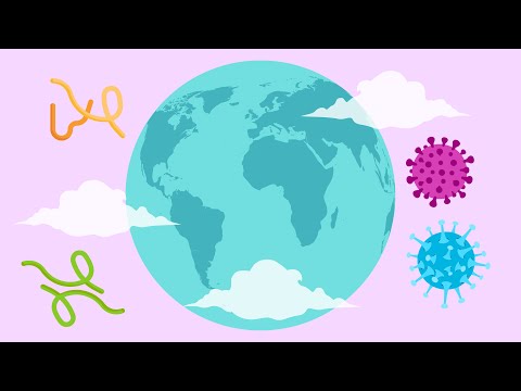 What are VSV vaccines? - video from IAVI