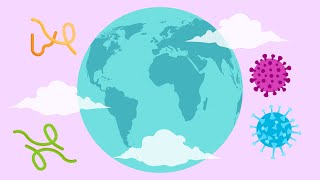 What are VSV vaccines
