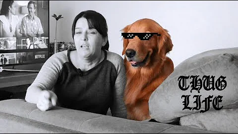 Tem como criar um golden em apartamento?