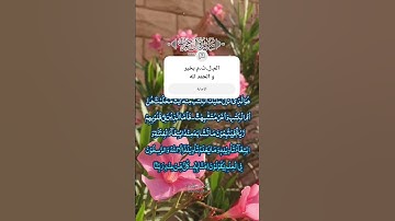 #سورة_ال_عمران #tiktok #اكسبلور #المصحف #قرآن #دويتو #لايك #تيك_توك #راحة_نفسية #quran