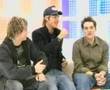 busted interview