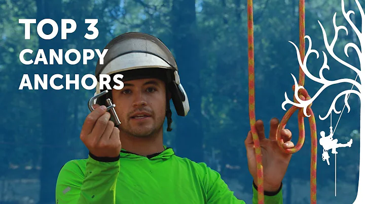 3 Best Canopy Anchors | Best ways to canopy anchor SRT | professional tree climber arborist review