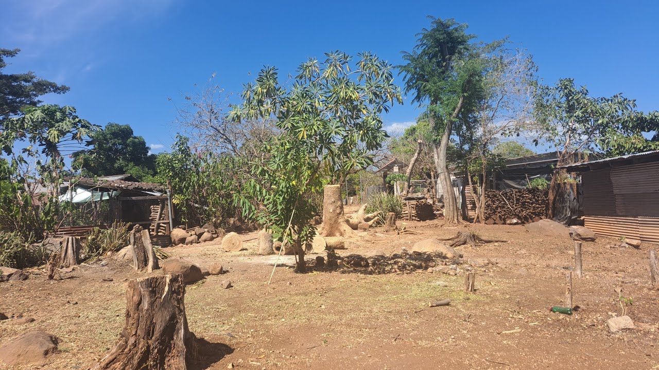 El nuevo proyecto de los traviesos muy pronto 