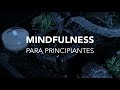 Mindfulness para Principiantes 🧘🏻