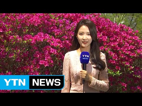 [날씨] 주말 완연한 봄...서쪽 미세먼지 주의 / YTN