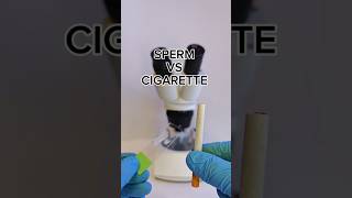 Sperm Vs Cigarettes In Microscope check 🥵 - BioLens Binay