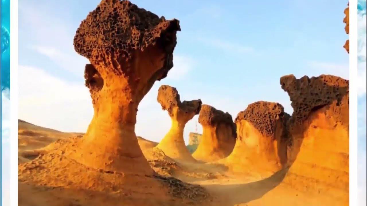 Камни грибы в пустыне. Каменные грибы в америке. Окаменелые деревья в аризоне. Столовые горы кремниевая эра. Плато антрим.