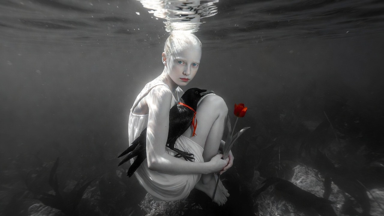 浮薄の失策の軽佻を閑却する / ORIGAMI-I