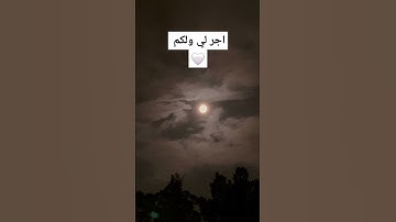 #القرآن_الكريم #قرآن #اكسبلور #ياسر_الدوسري #تيك_توك #تلاوة_خاشعة #لايك #دويتو #duet