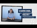 Varikosel nedir  prof dr mer faruk karata