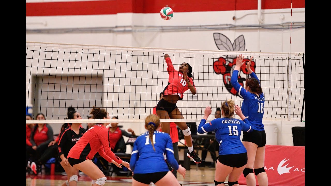 Sting Womens Volleyball vs Georgian - Nov.30.2022