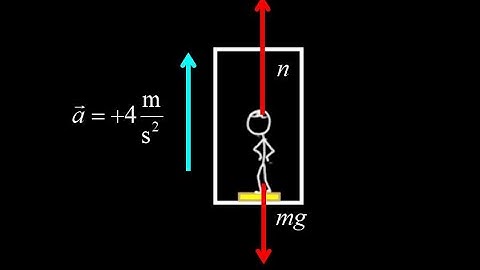 Scale on an elevator force problem:  apparent weight for stationary vs. accelerating elevator.
