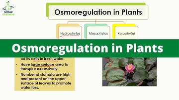 Osmoregulation in Plants | Properties of Hydrophytes, Mesophytes and Xerophytes