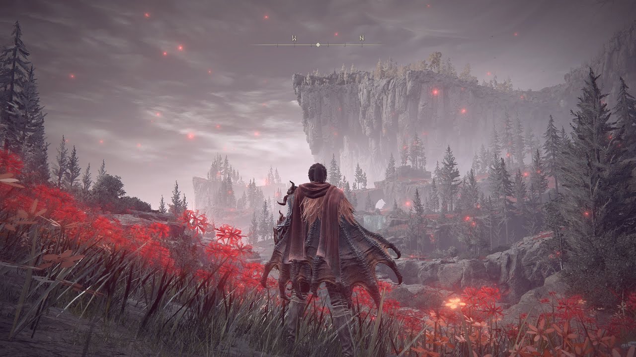 Shadow of the Erdtree discovery, Part 6