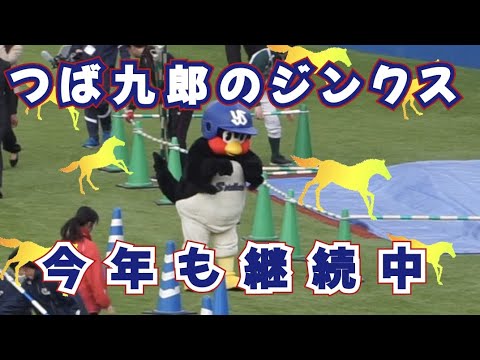 【幸先】SUNDAY つば九郎【良し】