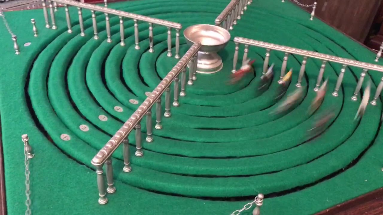 Horse Racing Game Demo YouTube