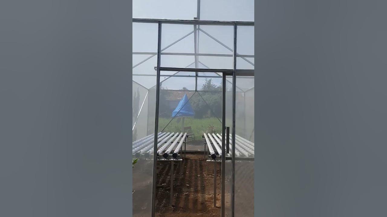 Pembuatan Green House Minimalis 2