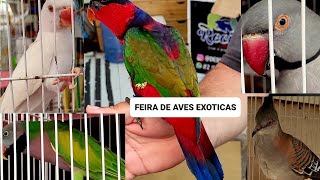 Feira de Aves Exóticas by Carlos Augusto criações 3,227 views 1 month ago 30 minutes