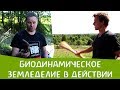 Биодинамическое земледелие в действии