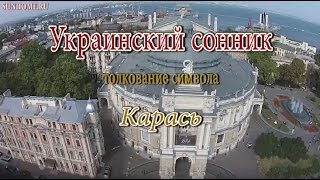 К чему снится Карась сонник, толкование сна К чему снится Карась сонник, толкование сна
