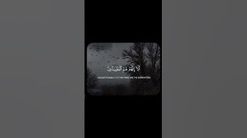 قرآن كريم بصوت جميل 🤍 🍃 أكتب شيء تؤجر عليه 🌱
