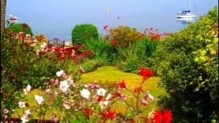 THE SANDPIPERS   CUANDO SALI DE CUBA