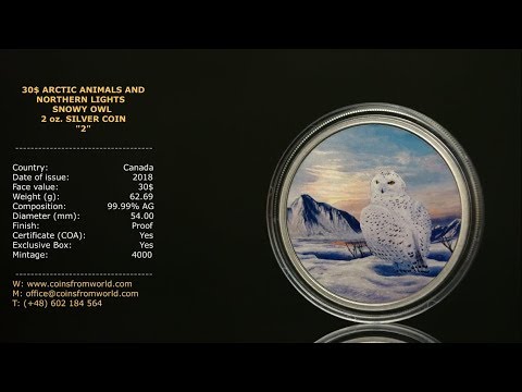 Canada 2018 30$ Glow In The Dark Arctic Animals And Northern Lights Snowy Owl 2 Oz Pure Silver Coin